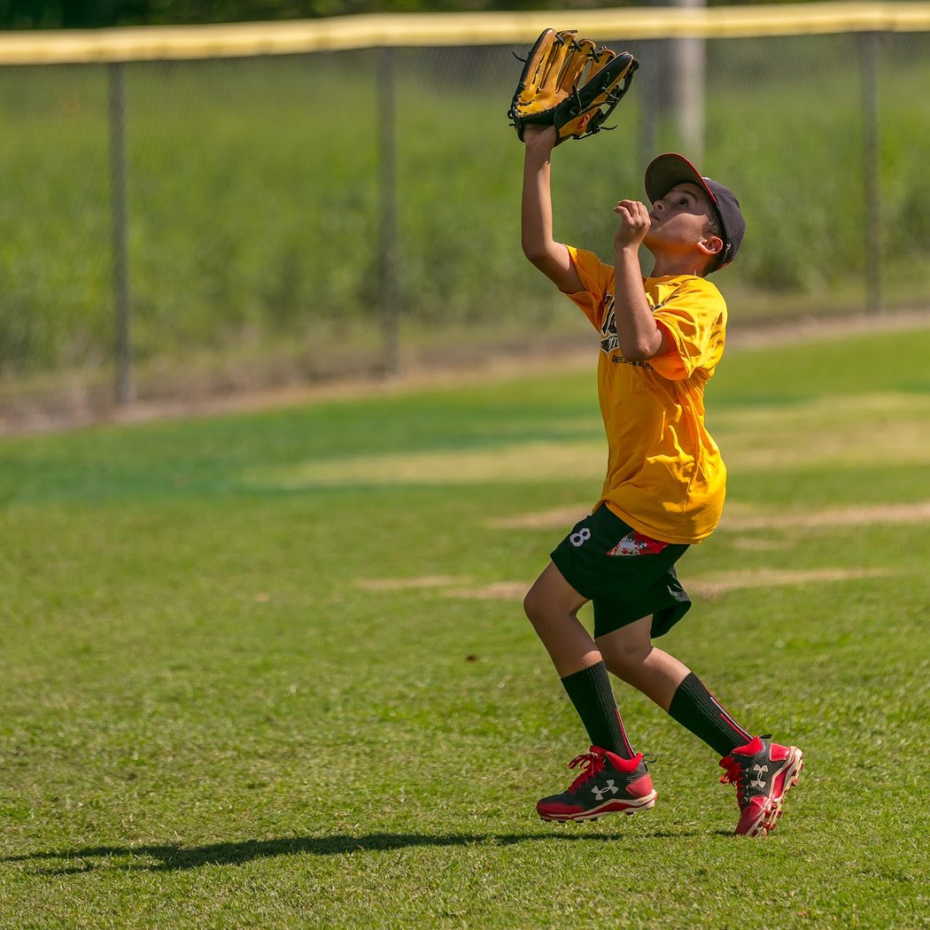 The Farm System 1